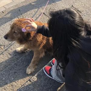 亚洲男男小鲜肉GY无套
